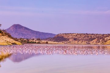 Lake Magadi