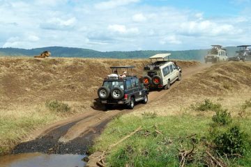 Ngorongoro